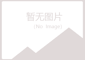 六枝特区冰夏能源有限公司